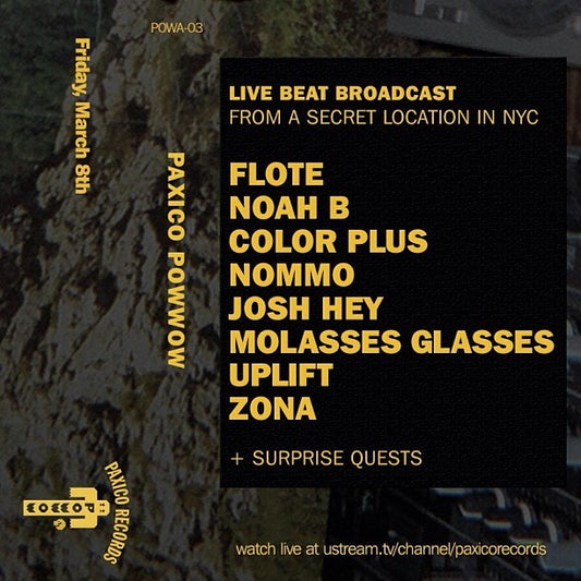 POWWAW 003 NY 03/08/13