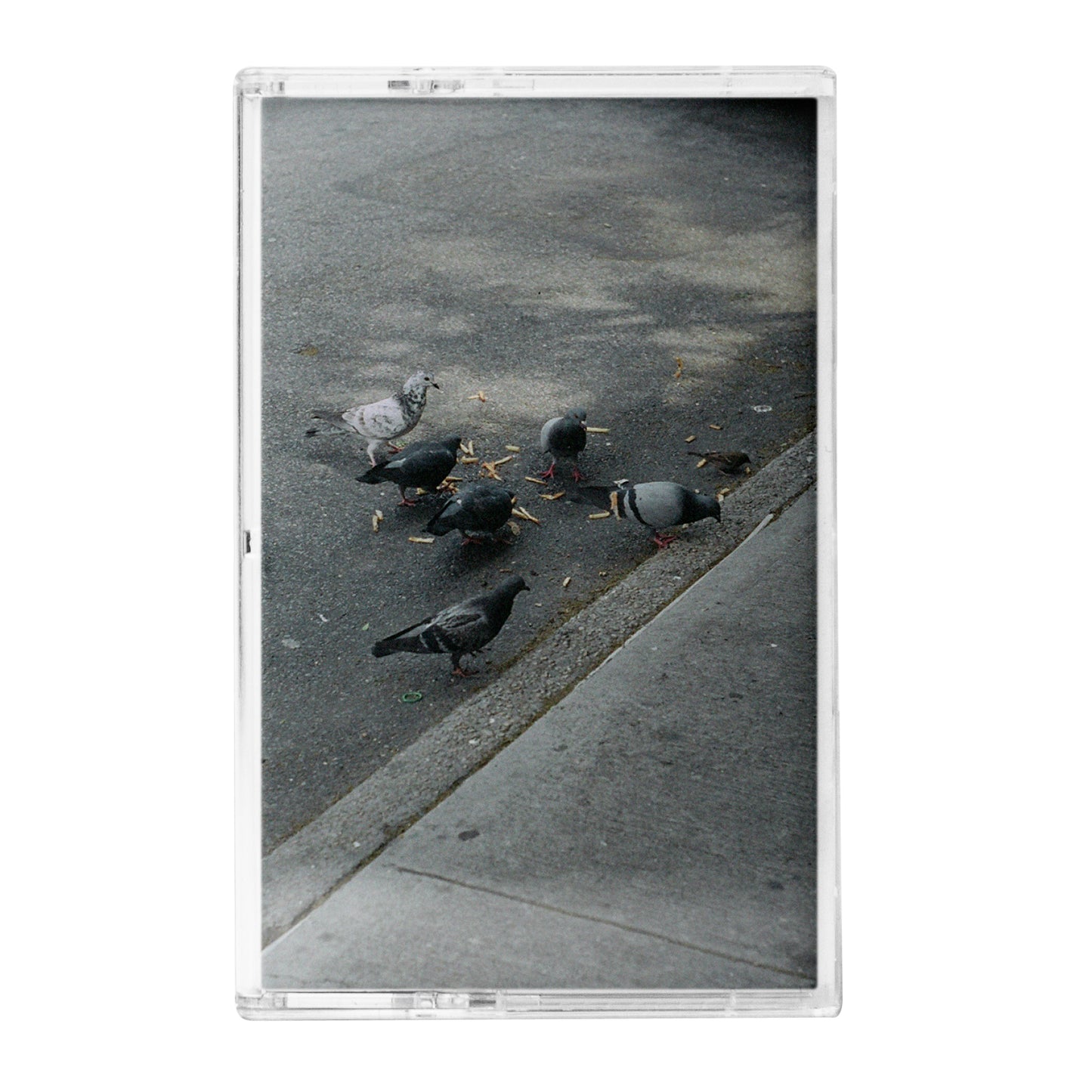 PL8S Volume 1—4 (Cassette)